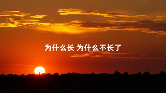 为什么长 为什么不长了